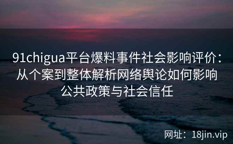 91chigua平台爆料事件社会影响评价：从个案到整体解析网络舆论如何影响公共政策与社会信任